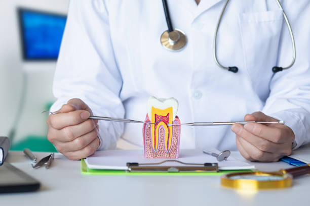 Best Emergency Root Canal Therapy in Paoli, IN